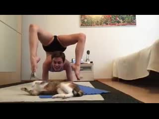 the ultimative catcontortion the beginning of a new act? ? much love and fun during training today:-) ninaburri